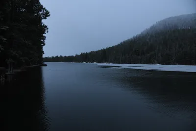 DSC_5801 (Large).JPG